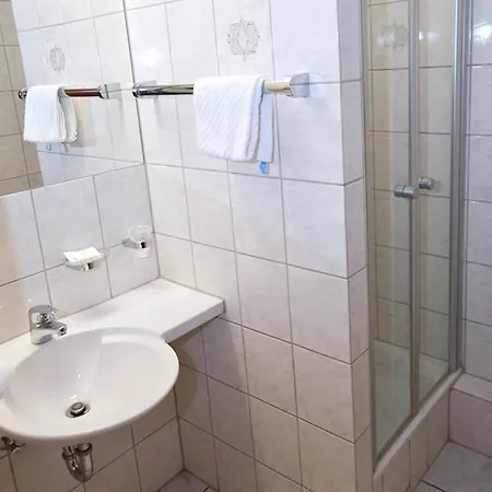 Der Gruene Baum Sinsheim