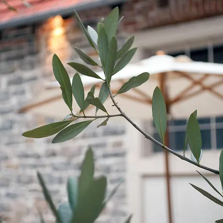 호텔 Der Gruene Baum