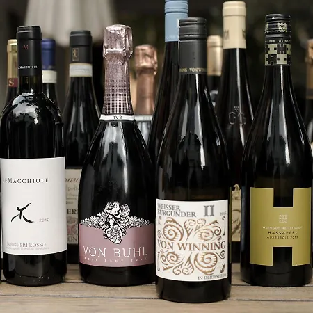 Der Gruene Baum Sinsheim