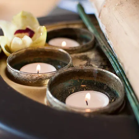 Der Gruene Baum זינסהיים