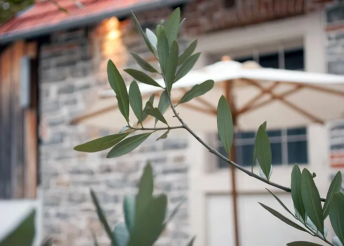 מלון Der Gruene Baum