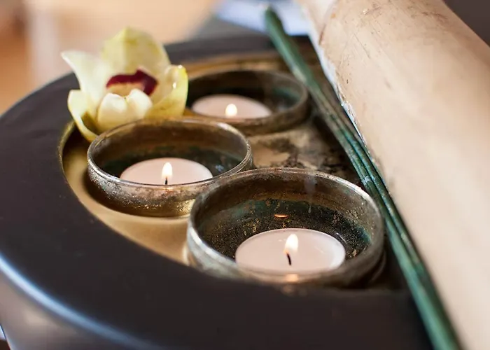 Der Grüne Baum Sinsheim