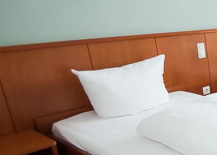 Der Grüne Baum Sinsheim